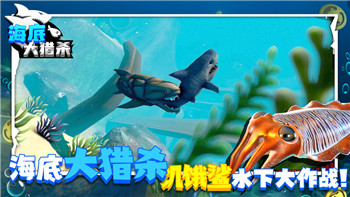 《塞尔达传说：智慧的再现》妖精花获取攻略详解