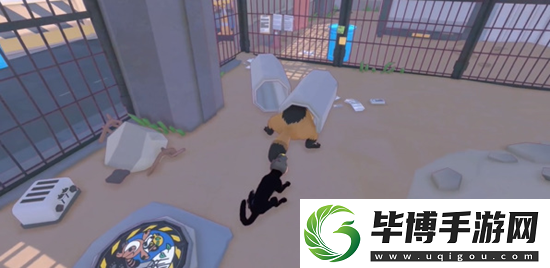 小猫咪大城市怎么解锁传送