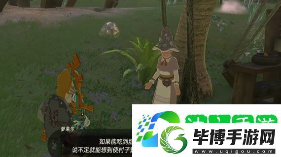 王国之泪烦恼的萝莱尔任务怎么做