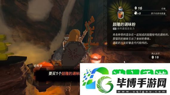 王国之泪烦恼的萝莱尔任务怎么做